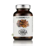 Mushrooms4Life - Chaga